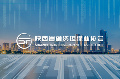 陕西省融资担保业协会